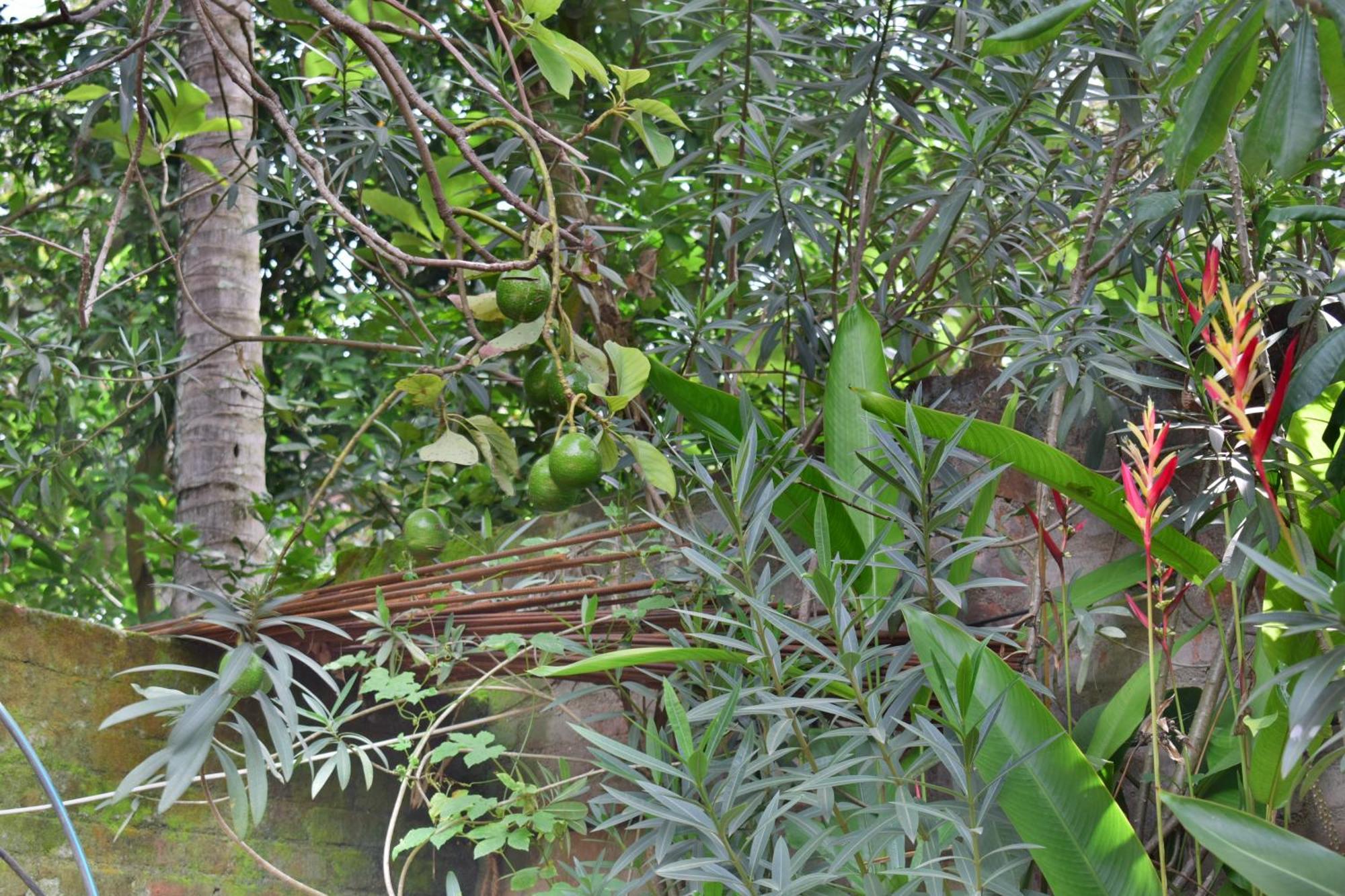 Silent Waters Resorts Yelagiri Bagian luar foto