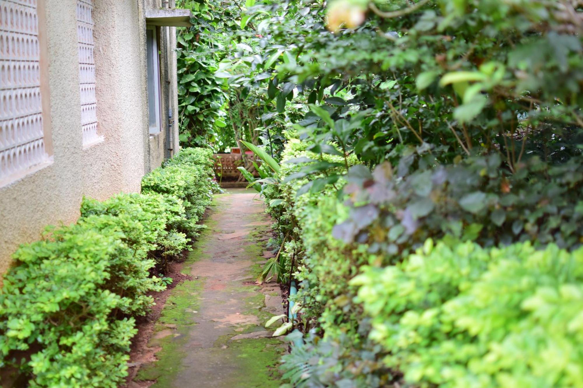 Silent Waters Resorts Yelagiri Bagian luar foto