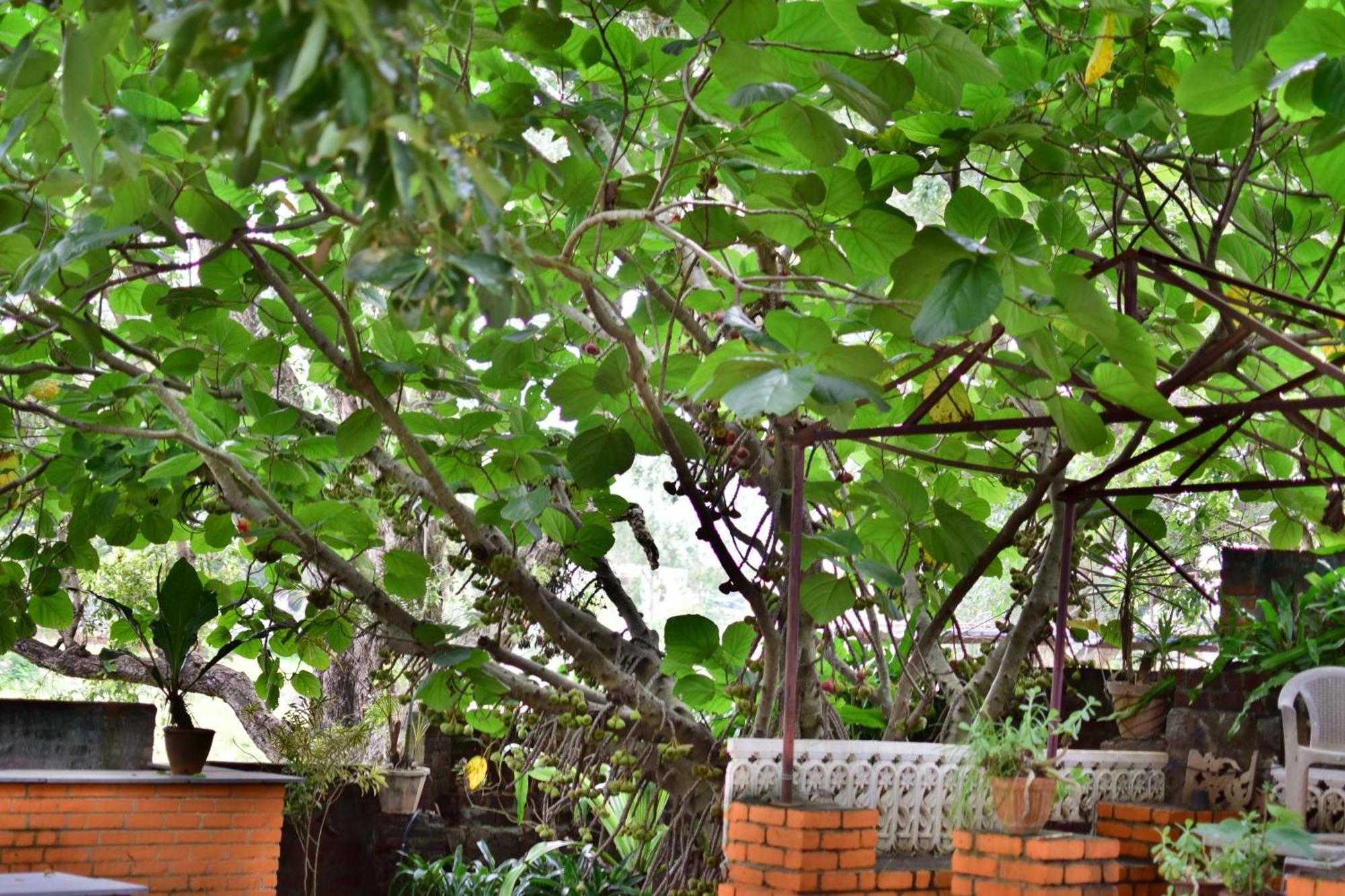 Silent Waters Resorts Yelagiri Bagian luar foto