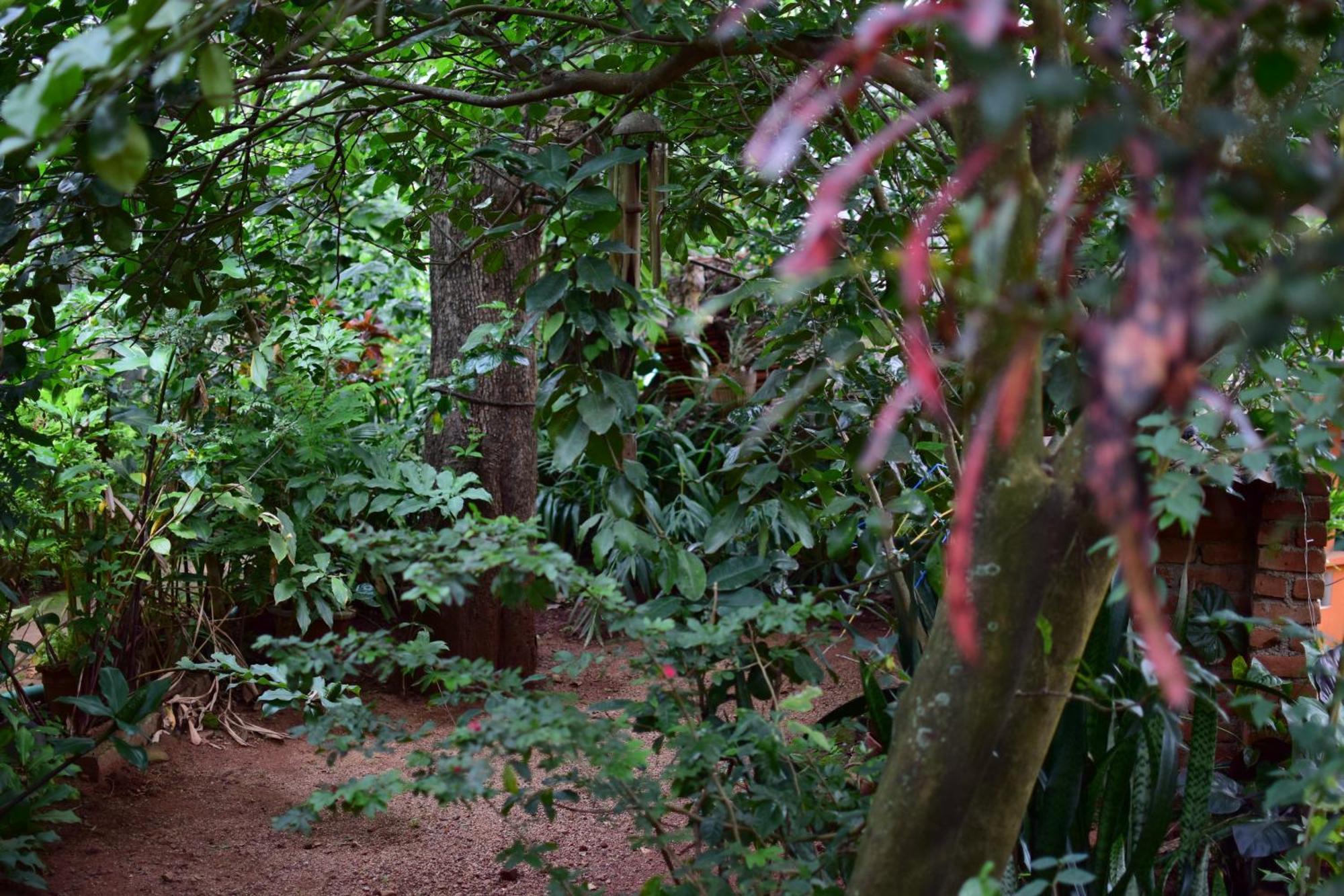 Silent Waters Resorts Yelagiri Bagian luar foto