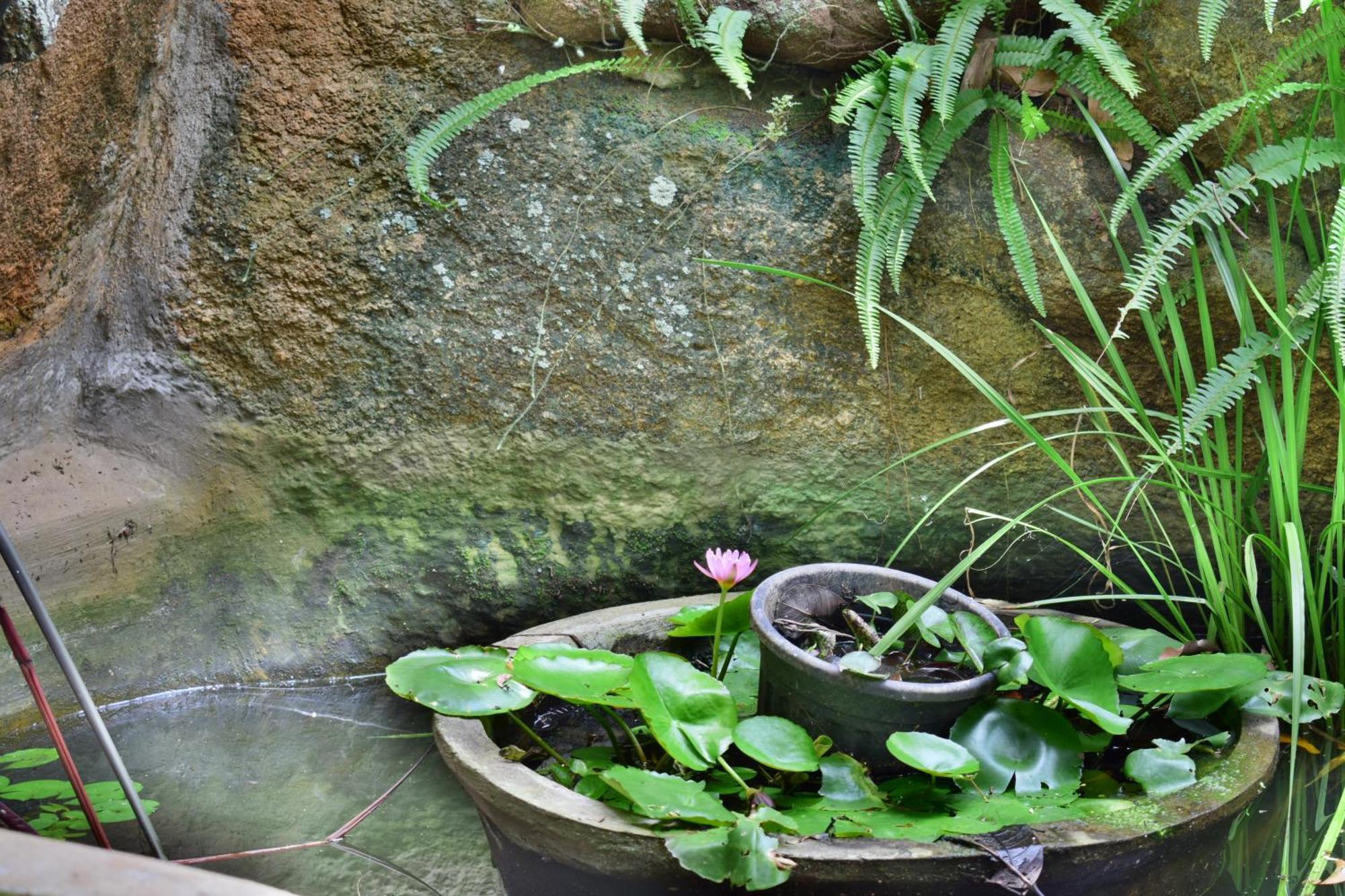 Silent Waters Resorts Yelagiri Bagian luar foto
