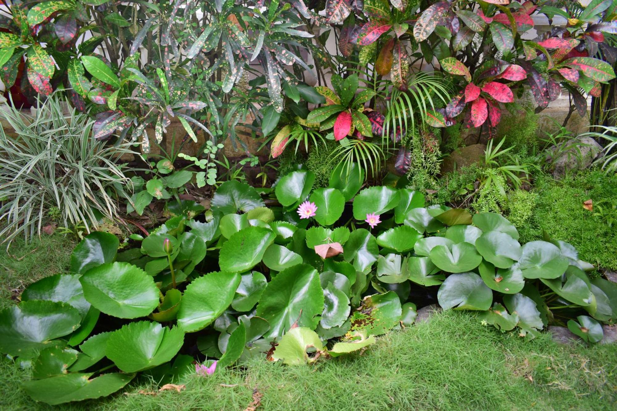 Silent Waters Resorts Yelagiri Bagian luar foto